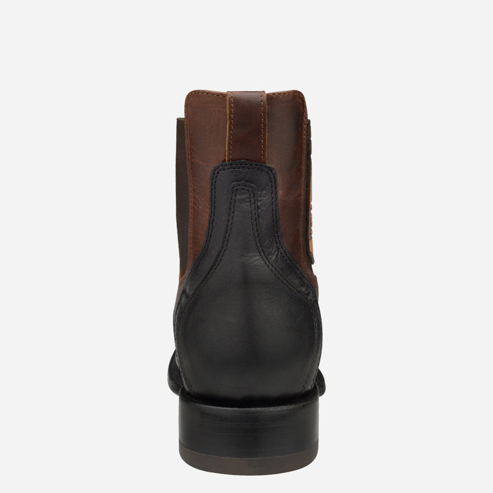
                  
                    Owen 18 Palomino Negro Orville Brass
                  
                