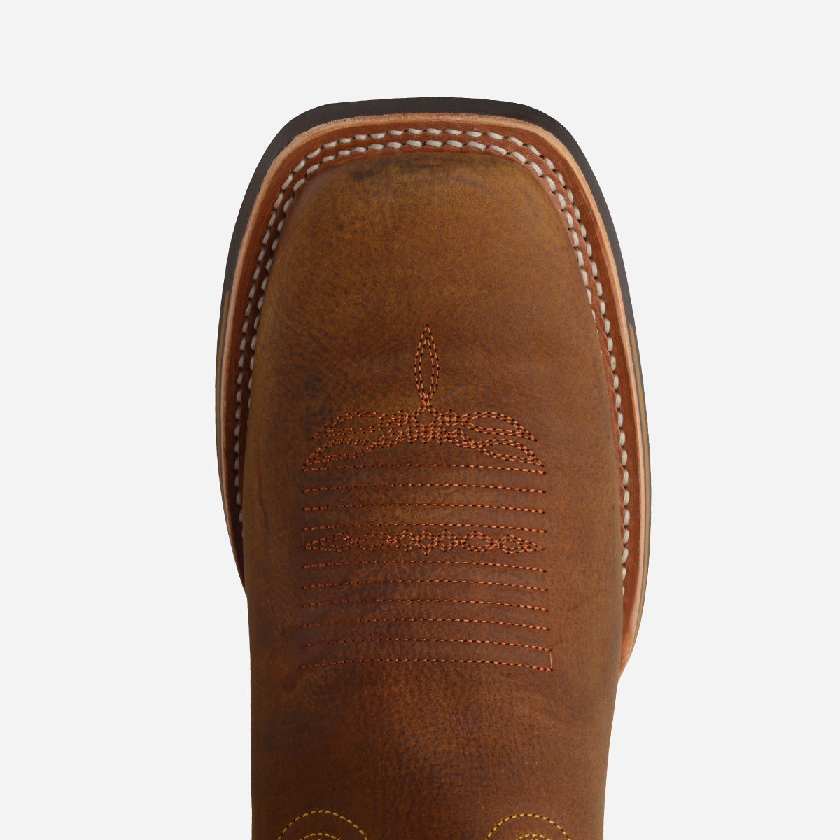 
                  
                    Campell 19 Tinker Miel Mountain Miel
                  
                
